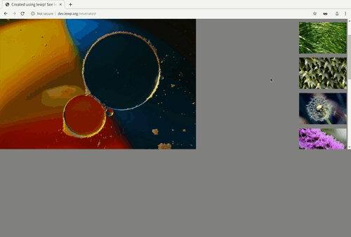 Sample setup of nevena